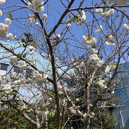 Narita Airport Samurai Hostel Kujukuri ภายนอก รูปภาพ