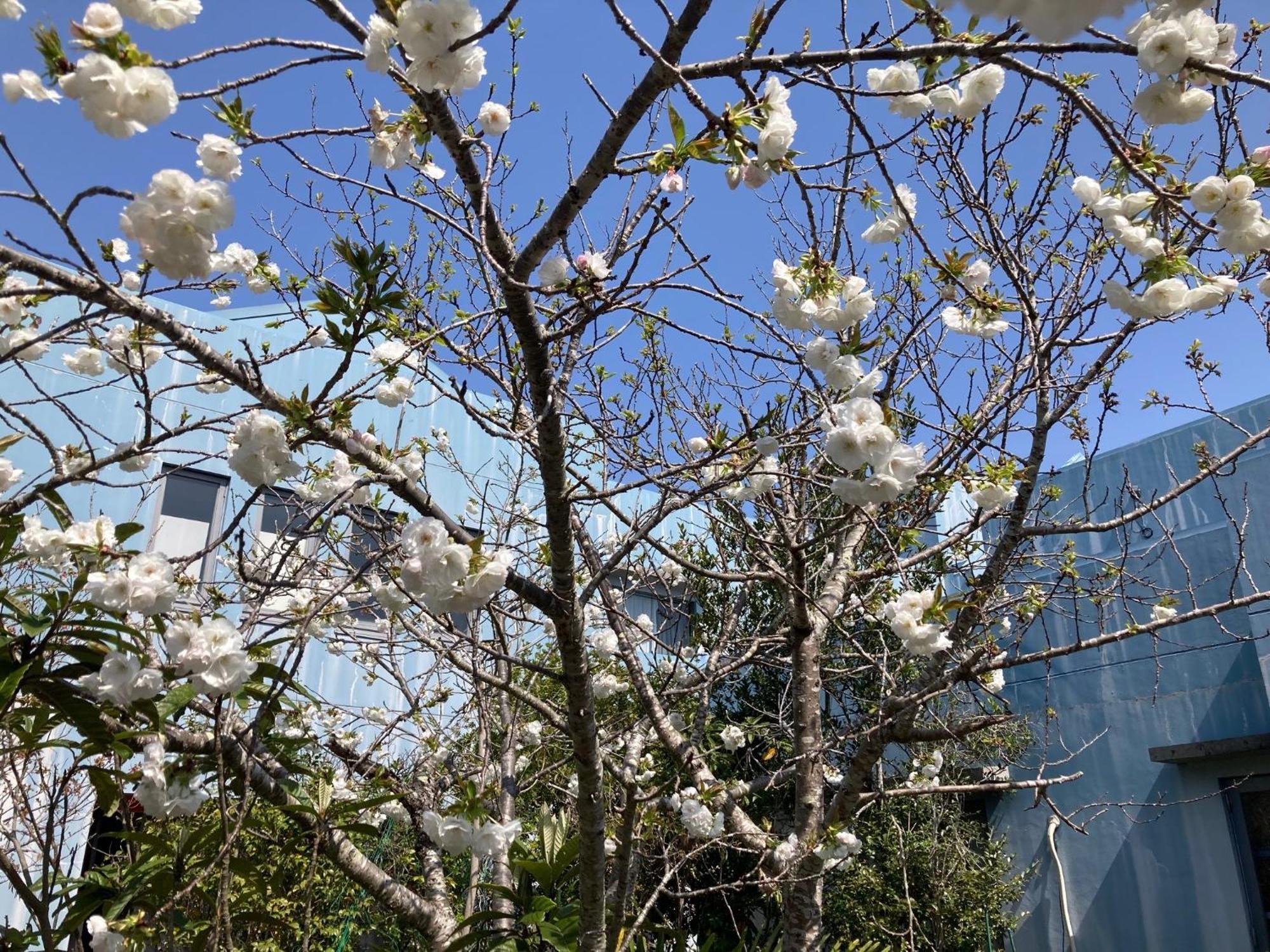 Narita Airport Samurai Hostel Kujukuri ภายนอก รูปภาพ
